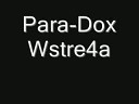 Paradox - Para