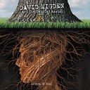 David Migden and The Twisted Roots - Wild World