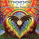 Cosmosis - Beguiling Illusions