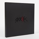 Skrillex DnB - First of the year
