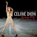 Celine Dion - It's All Coming Back To Me Now