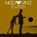 Dj Amice Remix - Nico Vinz vs Amice Am I Wrong
