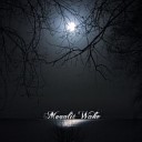 Moonlit Wake - Twilight