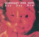 The Legendary Pink Dots - Under Glass