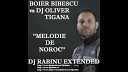 Boier Bibescu feat DJ Oliver Tigana - Melodie De Noroc DJ Rabinu Extended Mix