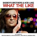 Badboys Brothers Acid Luke - What The Like Two Vinyls Remix