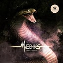 Mediks - Snake Charmer Original Mix