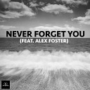 Fin Evans Feat Alex Foste - Never Forget You