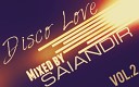SAlANDIR - 9 Disco Love Vol 2 2013