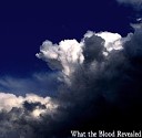 What The Blood Revealed - Evolution Is Not A Theory