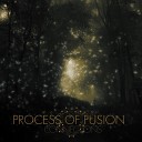 Process of Fusion - What Brought Us Here