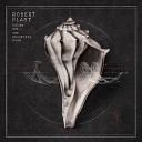 Robert Plant - A Stolen Kiss