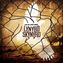 Lynyrd Skynyrd - Ready To Fly