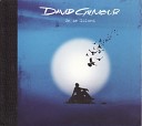 David Gilmour - Blue Light