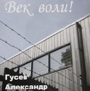 Александр Гусев - Золотая клетка