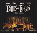 Birds of Tokyo - Head in My Hands