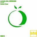 Enviado Vida - Woodland Original Mix
