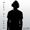 Snatt Vix feat Denise Rivera - Here For The Rush Alex DJ Zeya Remix