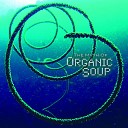 Organic Soup - New School