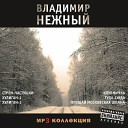 Владимир Нежный - Ой напрасно тетя