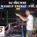 Sean Paul feat Alexis Jordan - Got 2 Luv U Dj Shummi Mashup Mix