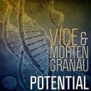 Vice Morten Granau - Potential Original mix