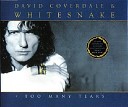 David Coverdale - Too many tears radio edit