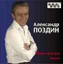 Александр Поздин - ПЕРЕЛЕТНЫЕ ПТИЦЫ 02