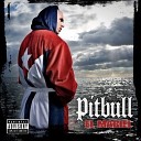 02 Pitbull - Miami Shit AGRMusic