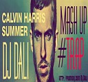 DJ DaLI Mash Up trap 2014 - Calvin Harris Summer trap