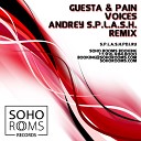 Guesta Pain - Voices Andrey S p l a s h Remix