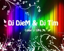 Dj DjeM Dj Tim - Color is Life Track 13
