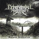 Cerebral Bore - Maniacal Miscreation