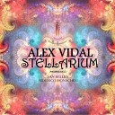 Alex Vidal - Stellarium Van Bellen Remix