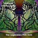 The Legendary Pink Dots - Curious Guy
