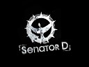 Senator D - По факту prod Senator D