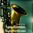 Igor Garnier feat Syntheticsax - Forever Ever Myxer Remix