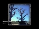 Perpetuous Dreamer Feat Elles De Graaf - Dust Wav Armin van Buuren Radio Edit