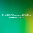 Craig David feat Lynnsha - Walking Away Remix
