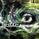 Pendulum - Blood Sugar 2
