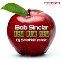 Bob Sinclar vs Dj Shishkin - New New New DJ Voland Mash Up