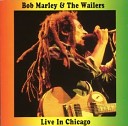 Bob Marley The Wailers - Concrete Jungle