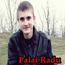 Palai Radu - David Guetta Play Hard Pala
