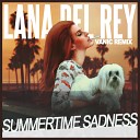 Lana Del Rey - Summertime Sadness Vanic Remix