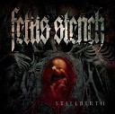 Fetus Stench - Descending Into The Realm Of The Dead