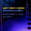 Layo Bushwacka Cevin Fisher - Dancing in the Dark feat Cevin Fisher Guy Gerber DJ Tennis…