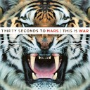 Thirty Seconds To Mars - Night Of The Hunter