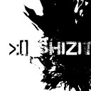The Shizit - Post Human