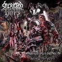 Secreted Entity - Erased From Existence