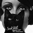 SoKool - Black Cat Andlee Remix